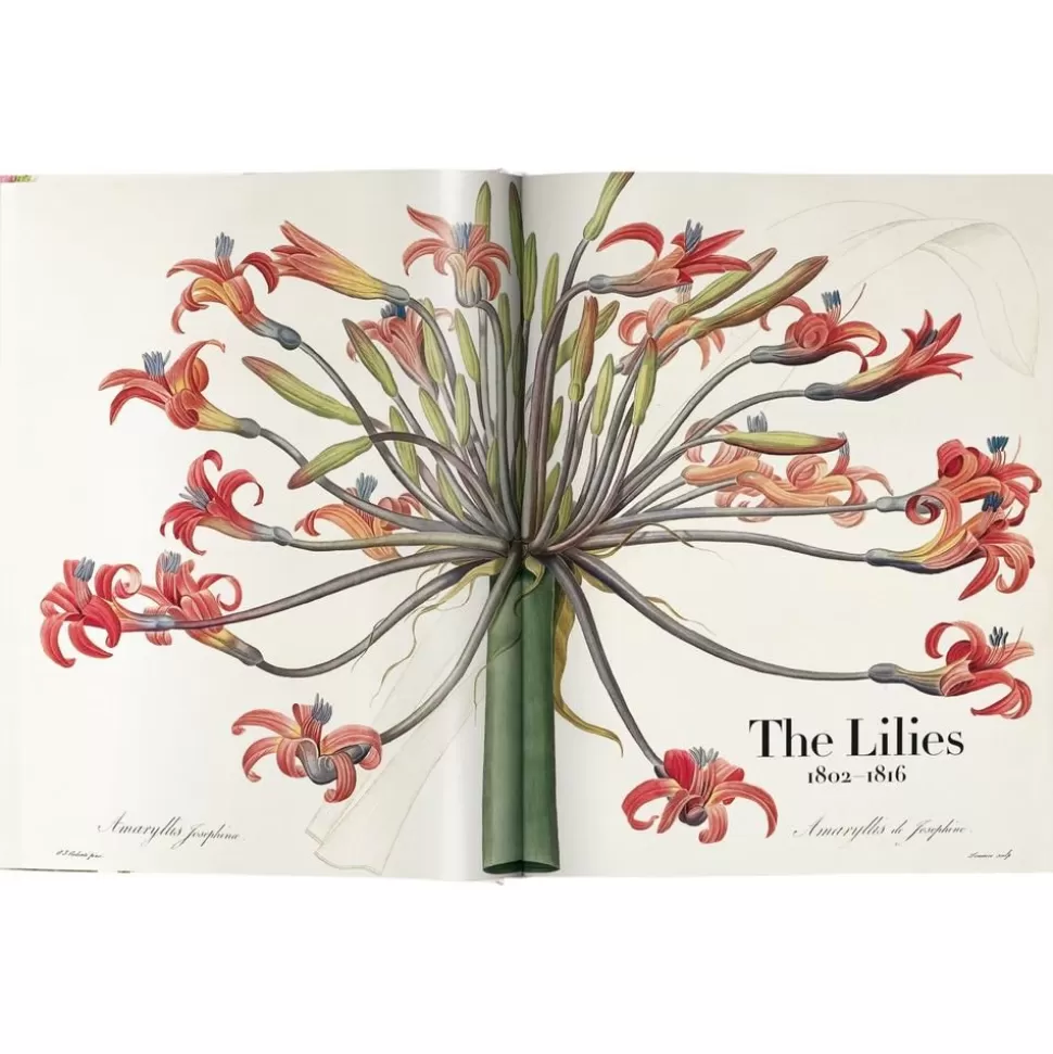 Flash Sale Taschen Verlag Bildband Book Of Flowers