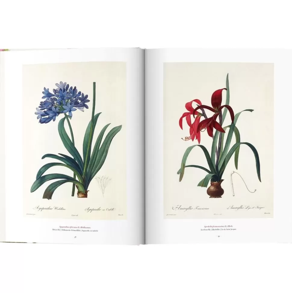 bildband_book_of_flowers_2-2.webp Flash Sale Taschen Verlag Bildband Book Of Flowers