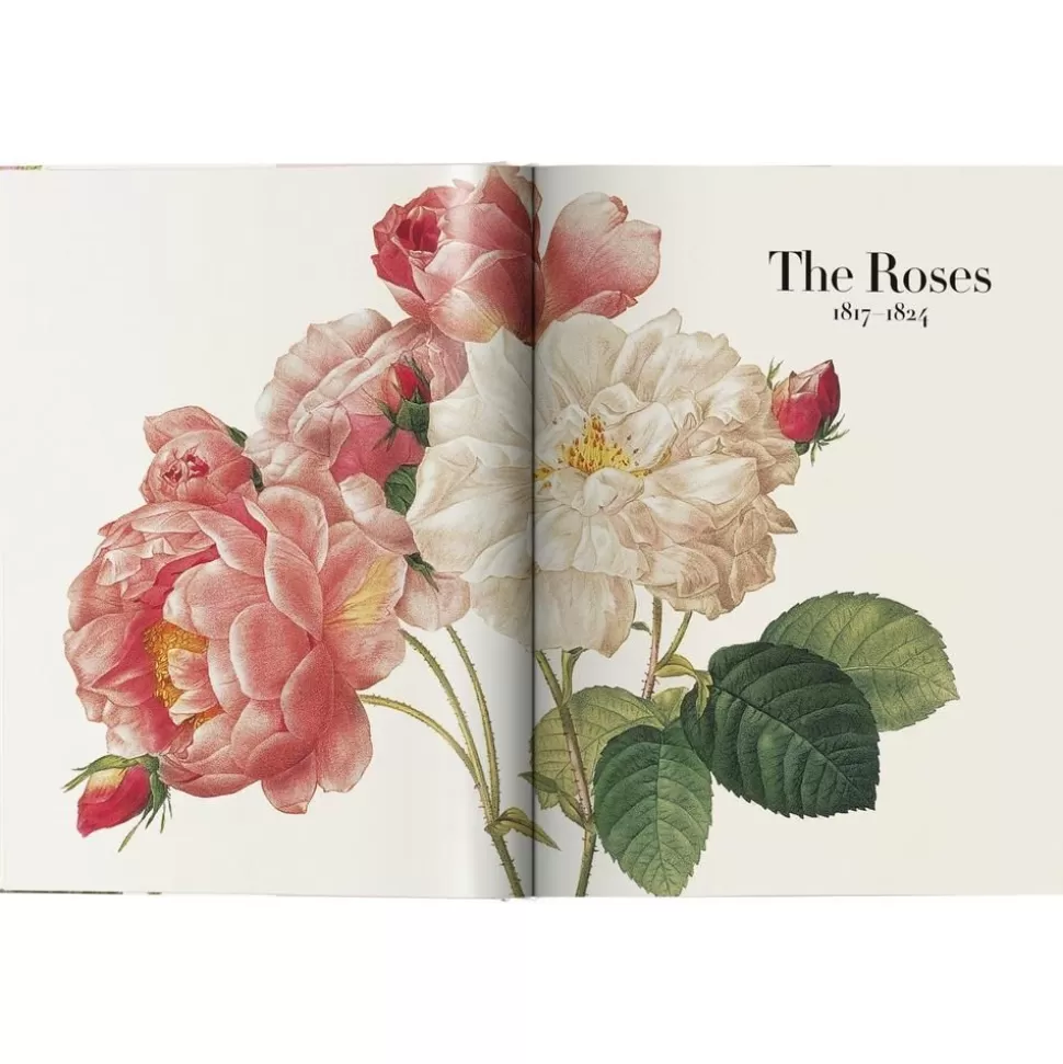 bildband_book_of_flowers_3-2.webp Flash Sale Taschen Verlag Bildband Book Of Flowers