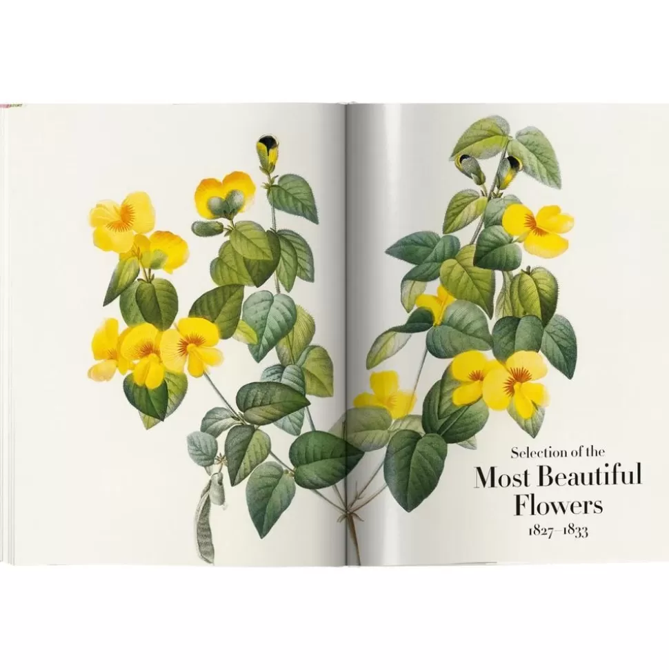 bildband_book_of_flowers_5-2.webp Flash Sale Taschen Verlag Bildband Book Of Flowers