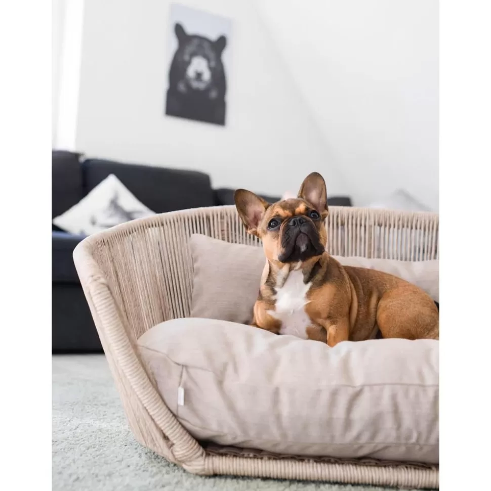 New Laboni In- & Outdoor-Hundebett Vogue