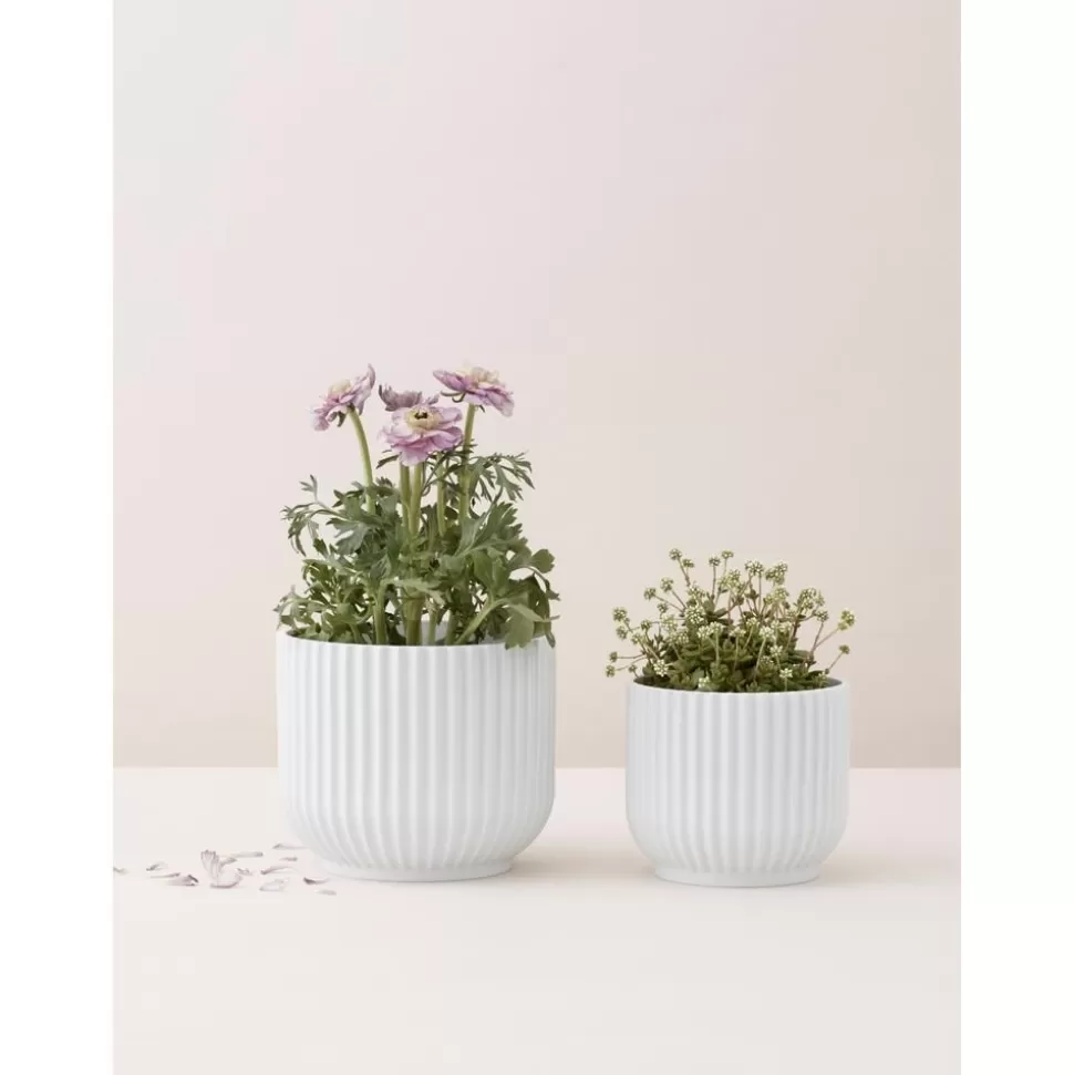 Shop Lyngby Porcelaen Porzellan-Ubertopf Lyngby, H 11 Cm